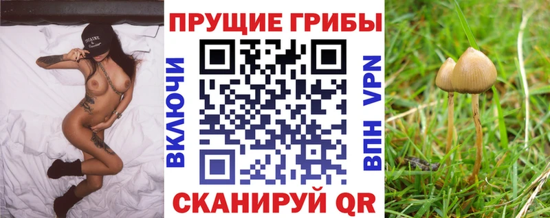 МЕГА сайт  Дербент  Галлюциногенные грибы мицелий  дарнет шоп 