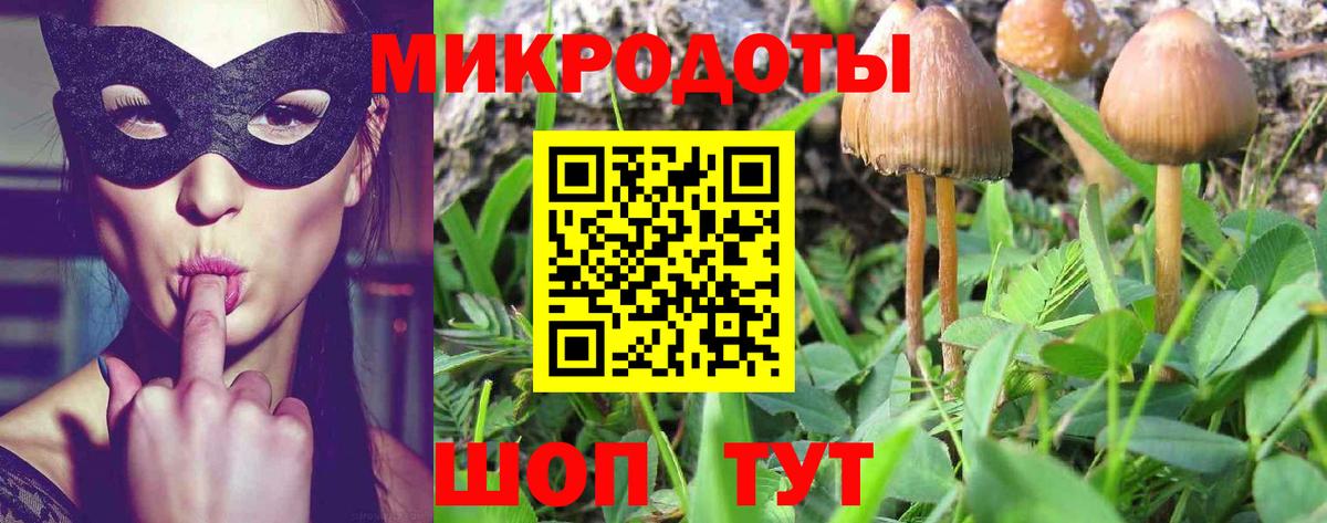Псилоцибиновые грибы мухоморы  Псилоцибиновые грибы мухоморы  где можно купить наркотик  Вход с VPN  Дербент 