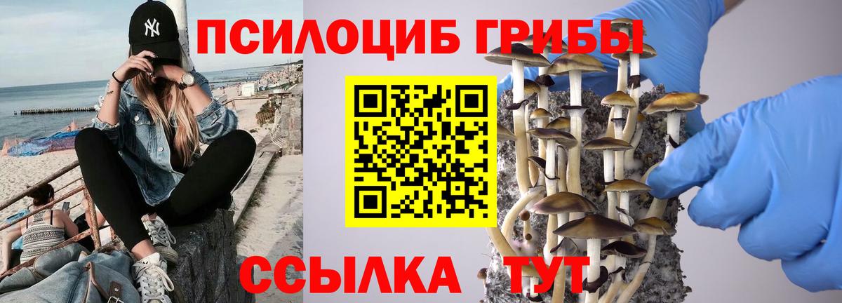 Псилоцибиновые грибы мицелий Дербент